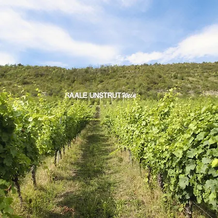 Weingut Kloster Pforta *