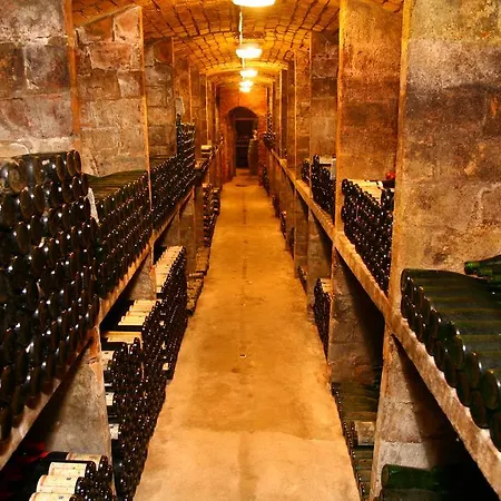 Weingut Kloster Pforta شقة ناومبورغ