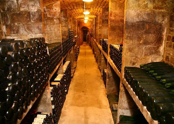 Weingut Kloster Pforta Appartamento Naumburg (Saale)